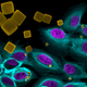 Image for article titled These Science Photos Are So Beautiful They're Basically Art